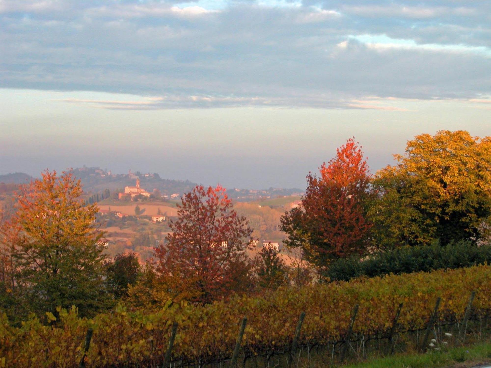 Al Riccio Bed & Breakfast Cocconato Bagian luar foto